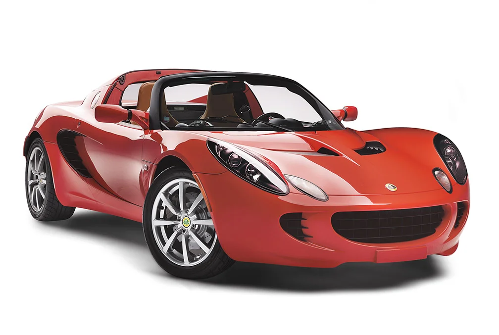 36x24 Lotus Wht.jpg