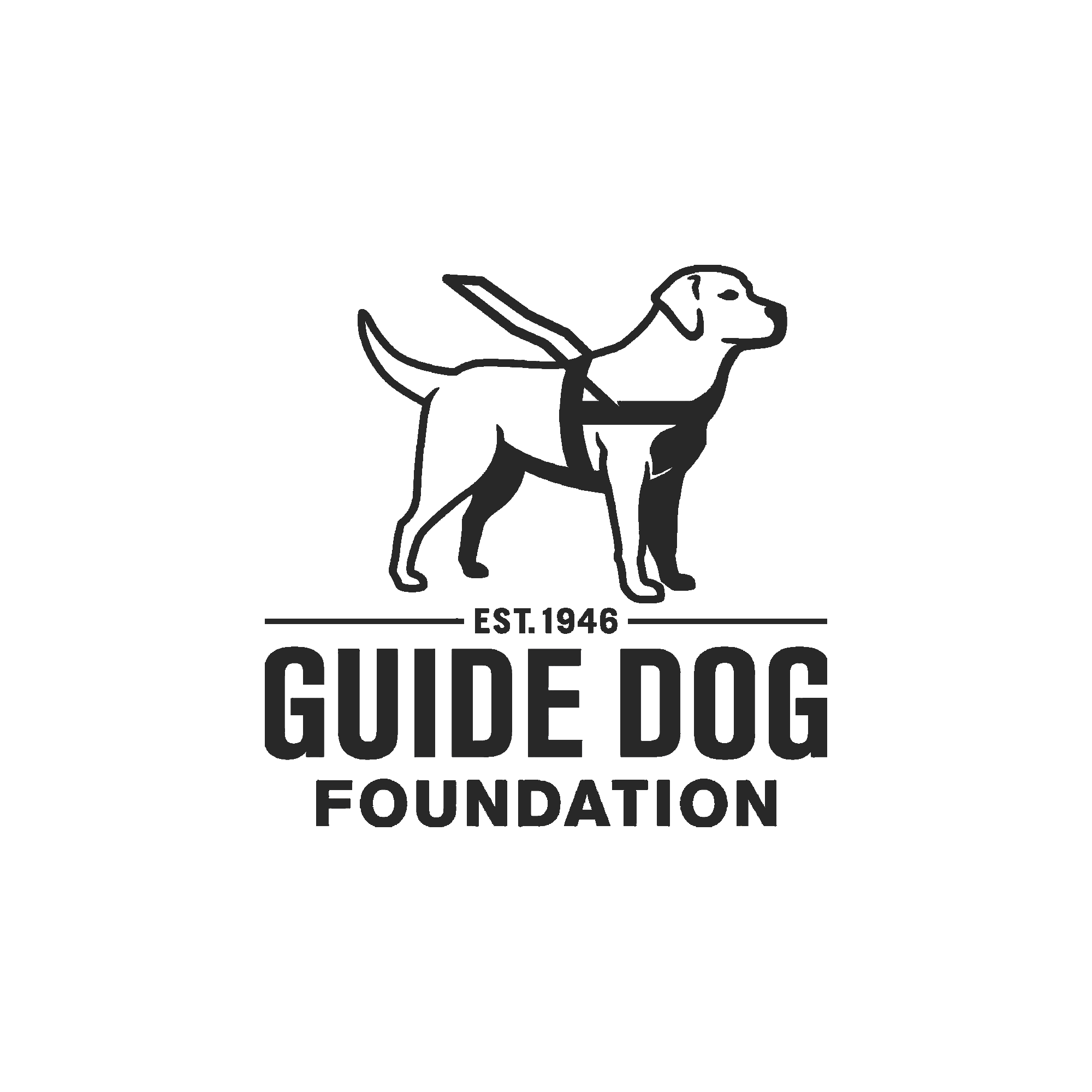 17_Guide Dog-GREY.png