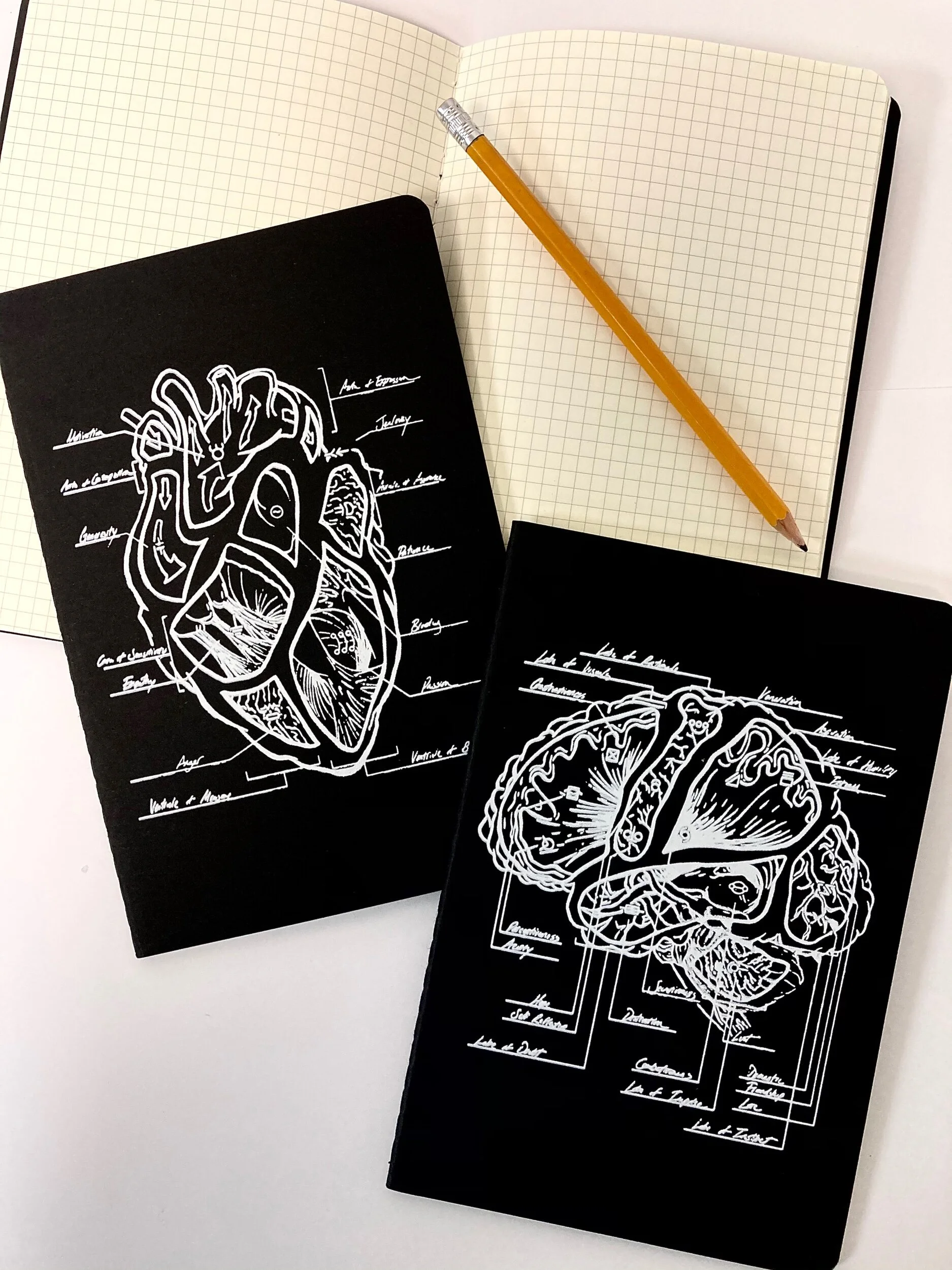 DA47D47E-8415-4F40-8F73-02505288CD15