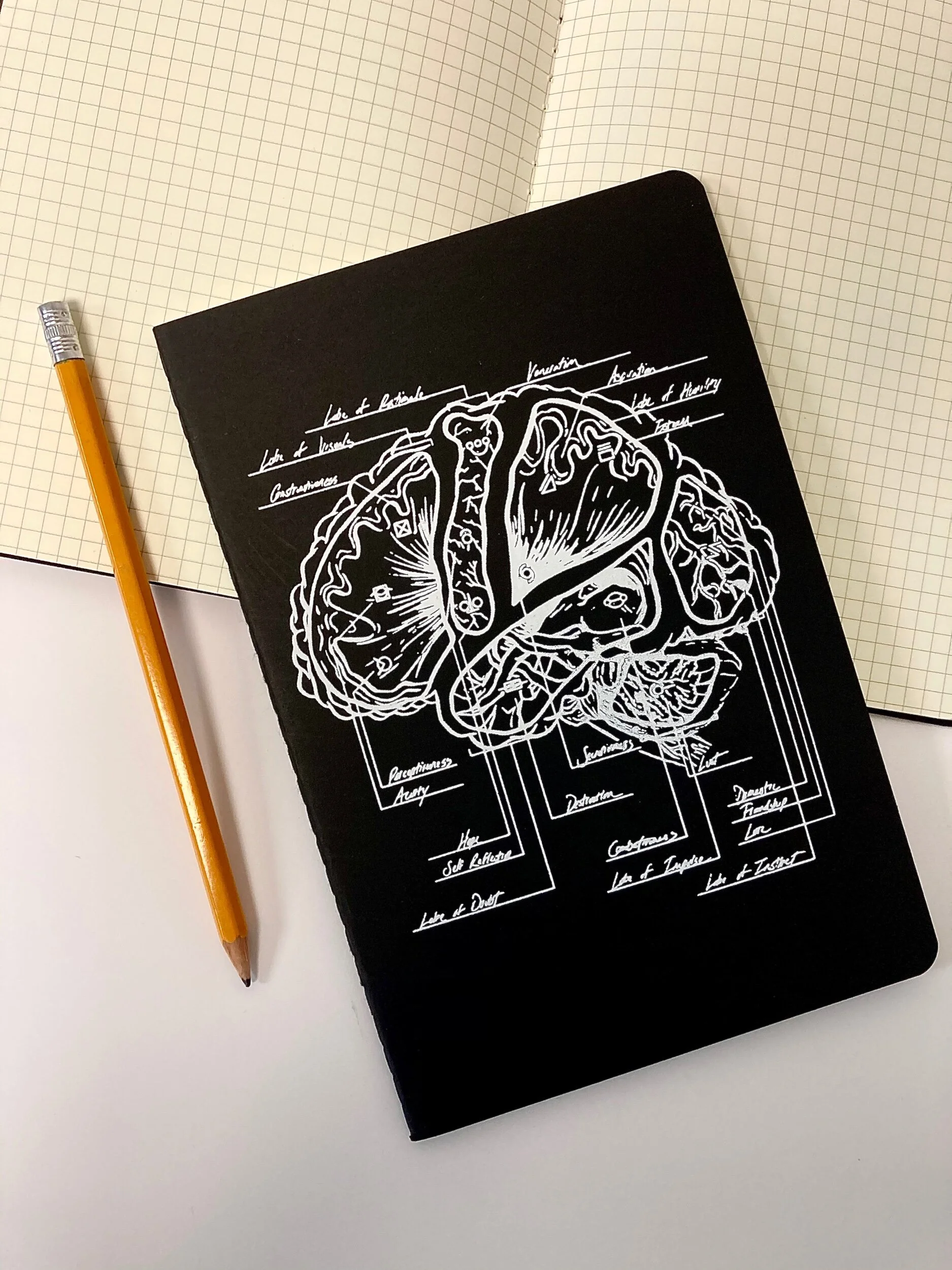 41E304A6-2BD5-4CF5-A9D6-33BACE15C644