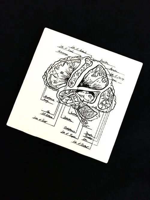 Brain Coaster.jpg