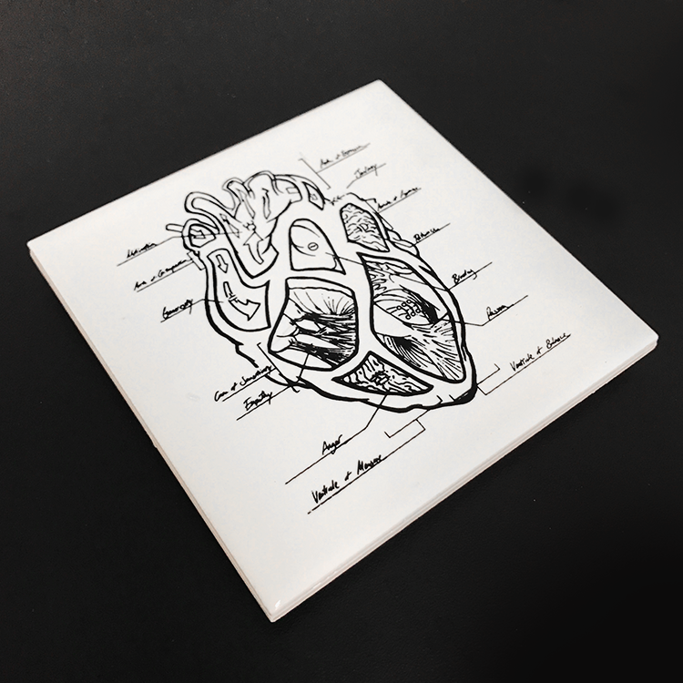 Heart Coaster.png