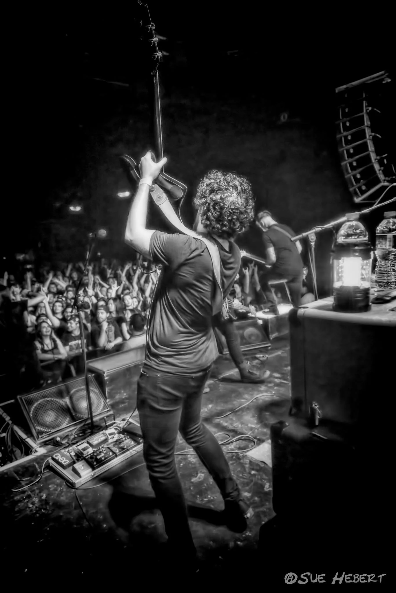 The+Phoenix+w_+BFMV+062617+-+37.jpg