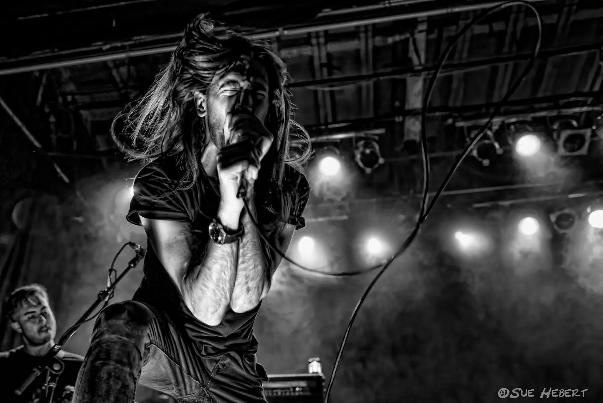 The+Phoenix+w_+BFMV+062617+-+1.jpg