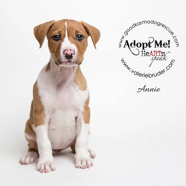 Annie