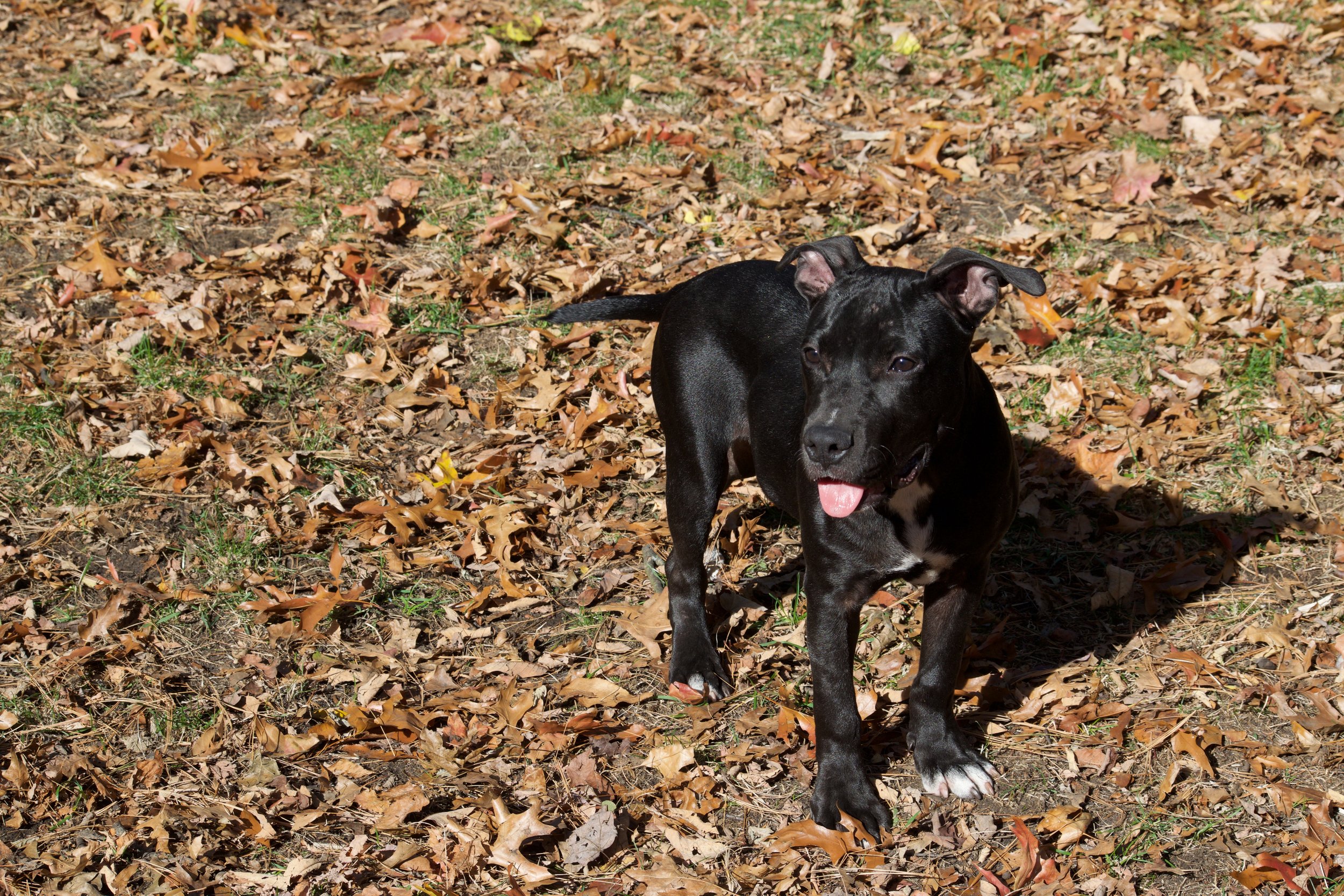 DSC_1386.jpg