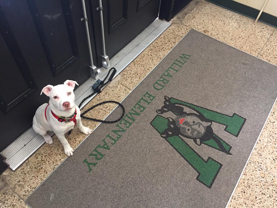 Farrah was lucky enough to visit the children at Willard School for the 2017 Day of Service