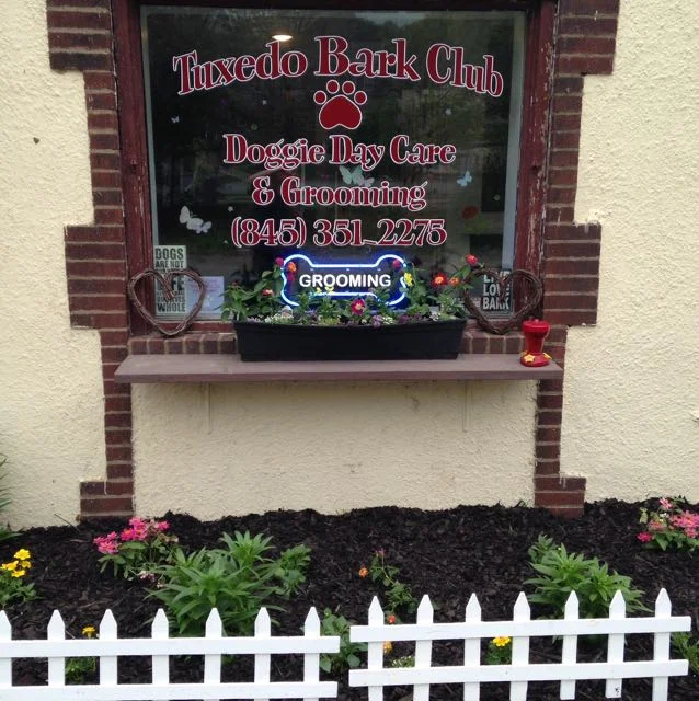 Tuxedo Bark Club Adoption Event