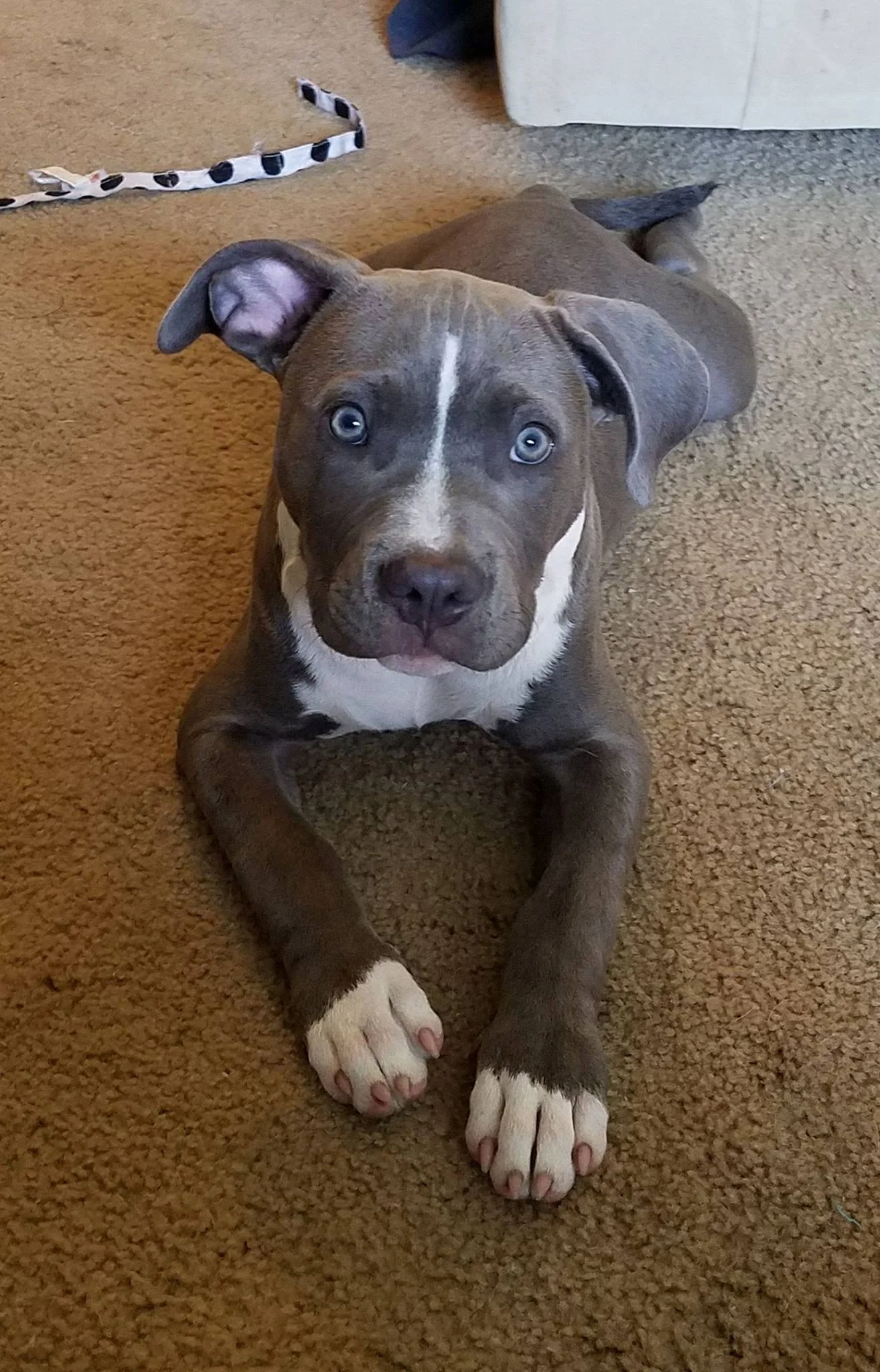 21367046_10213870767826061_2660340426184810026_o-1.jpg
