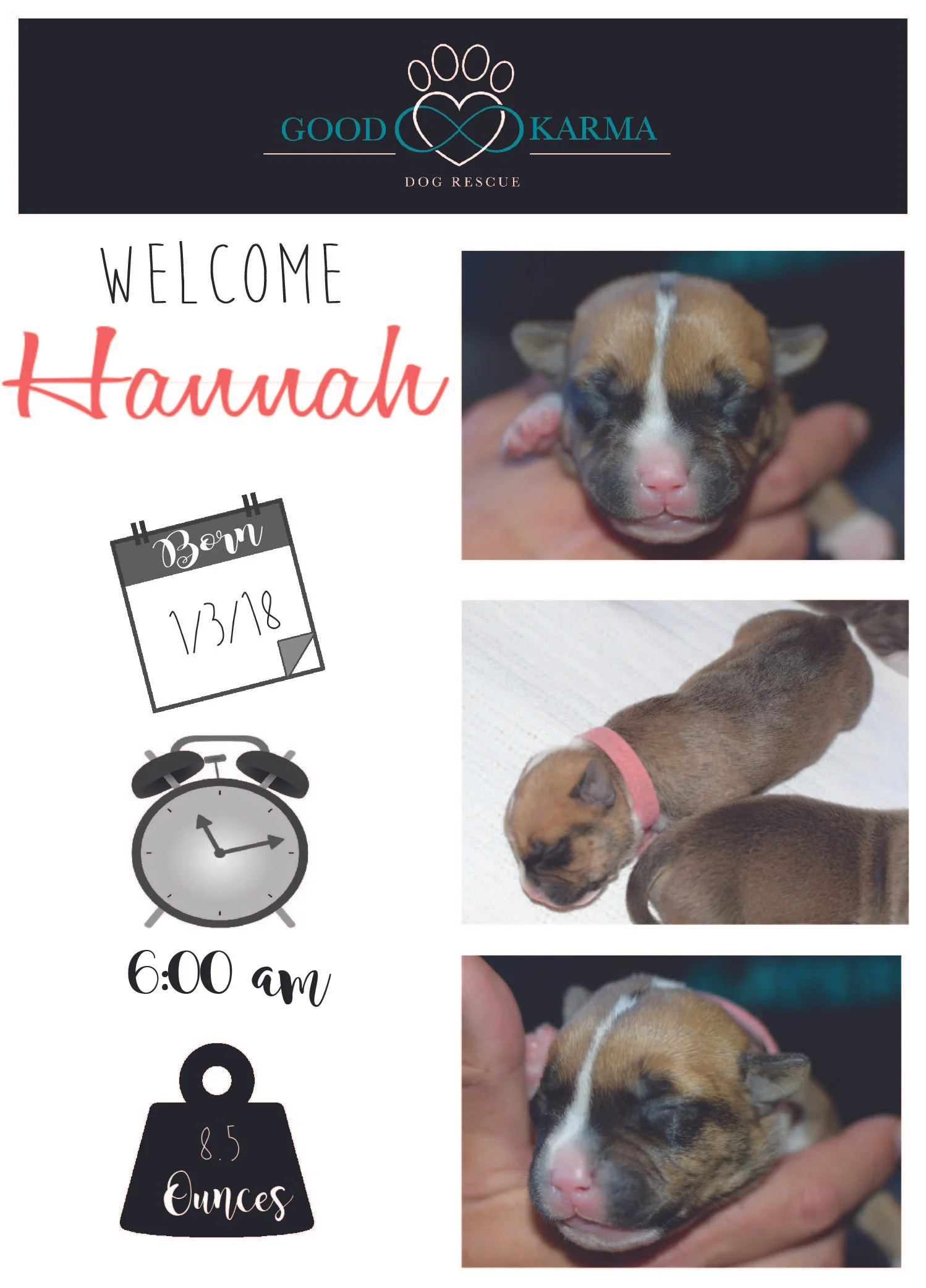 Hannah Welcome.jpg