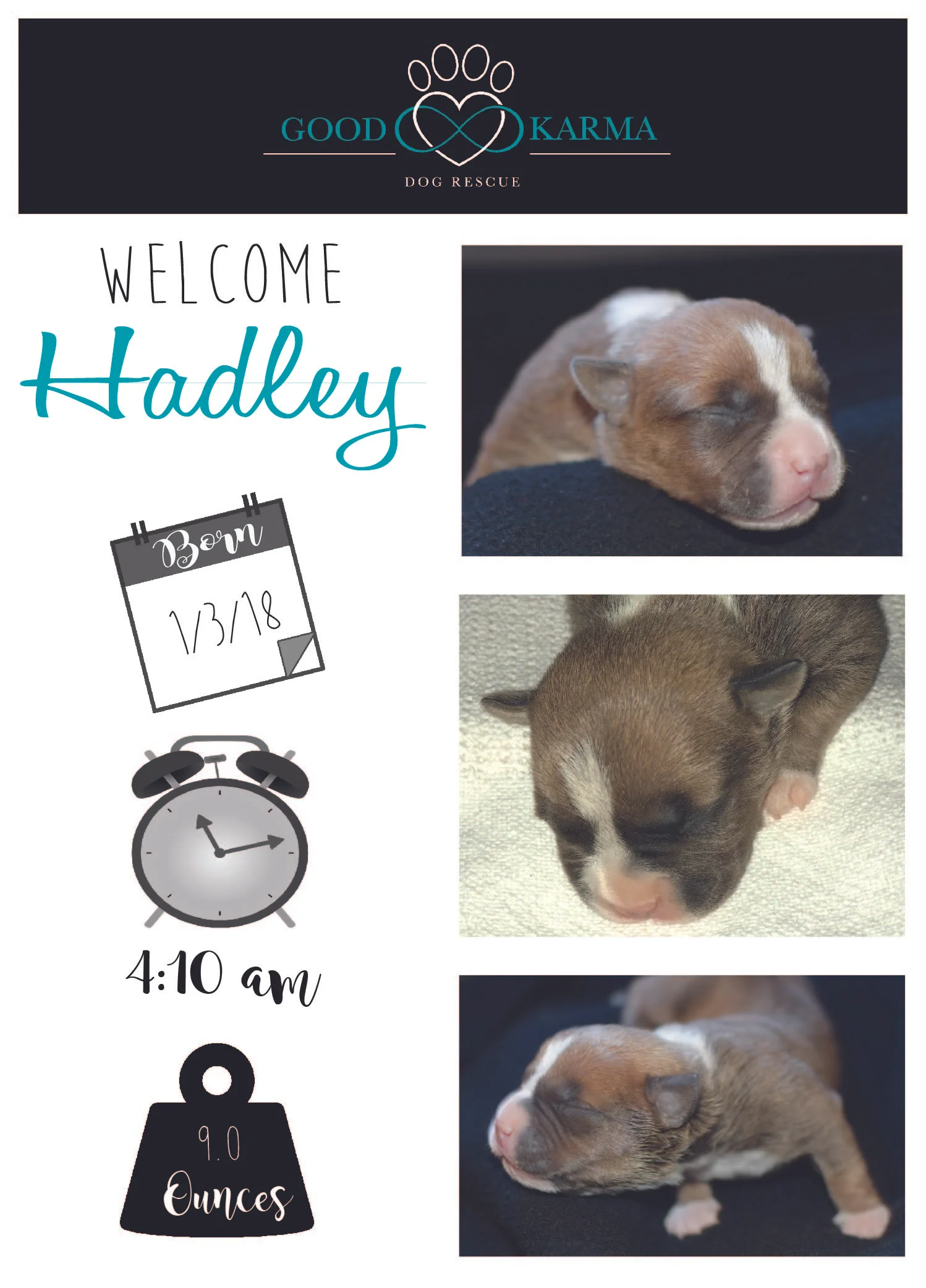Hadley Welcome.jpg