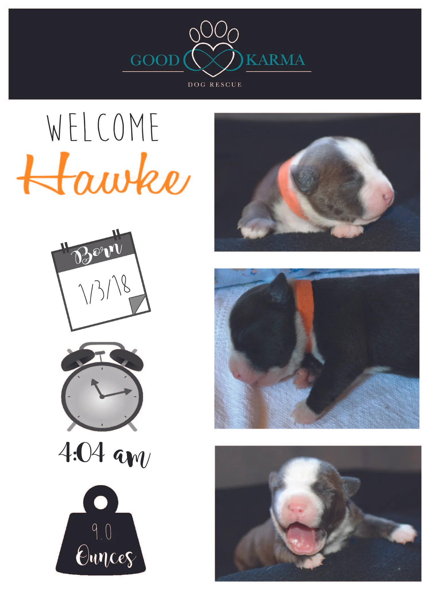 Hawke Welcome.jpg