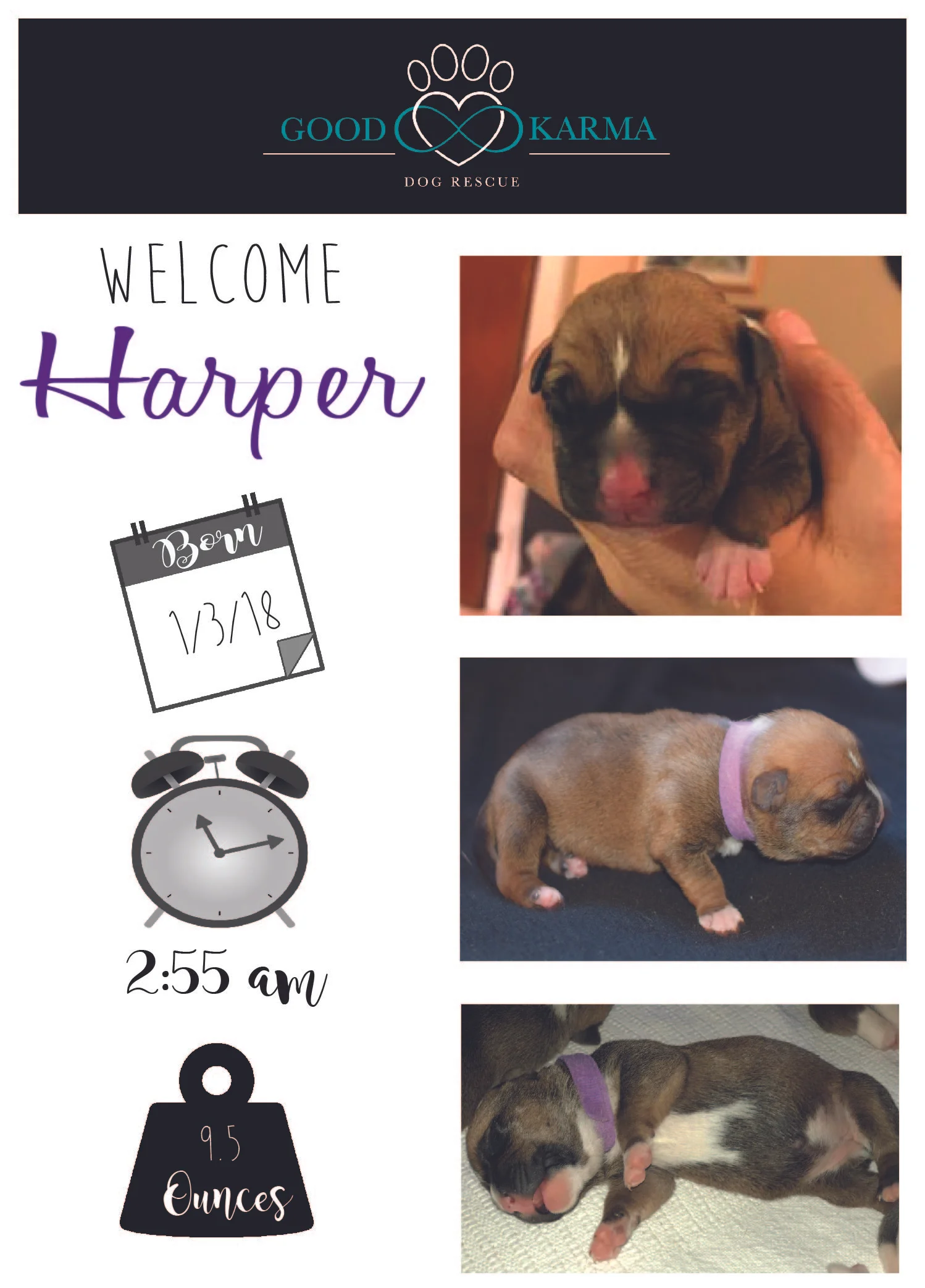 Harper Welcome.jpg
