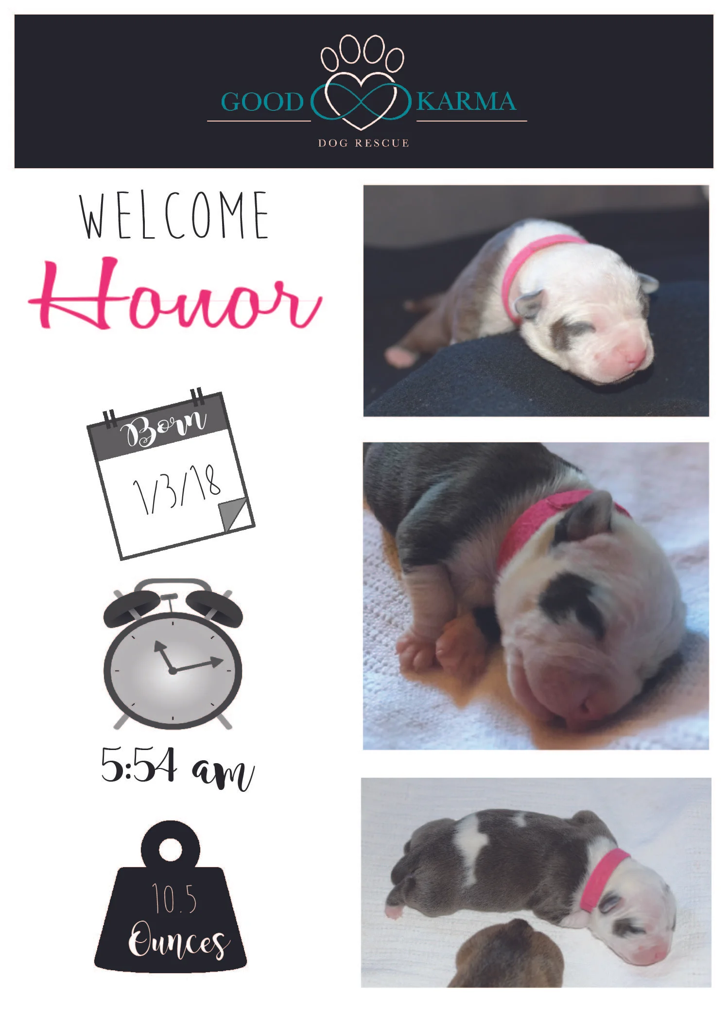 Honor Welcome.jpg