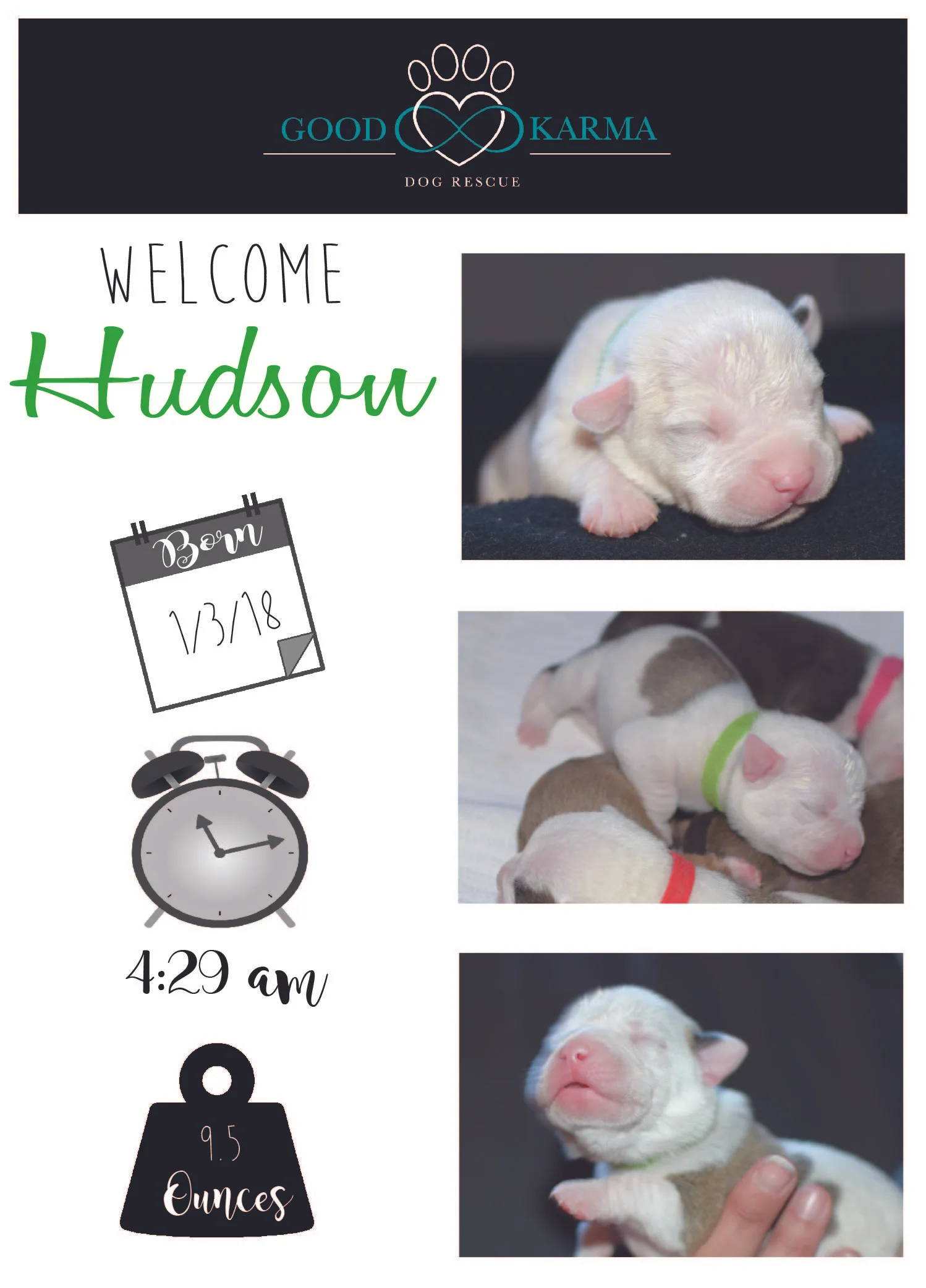 Hudson Welcome.jpg