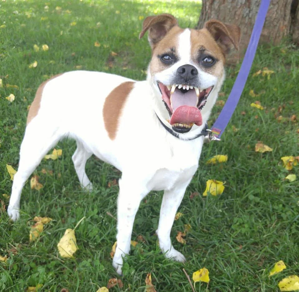 36449934_2054563561459335_1929734415320088576_n.jpg