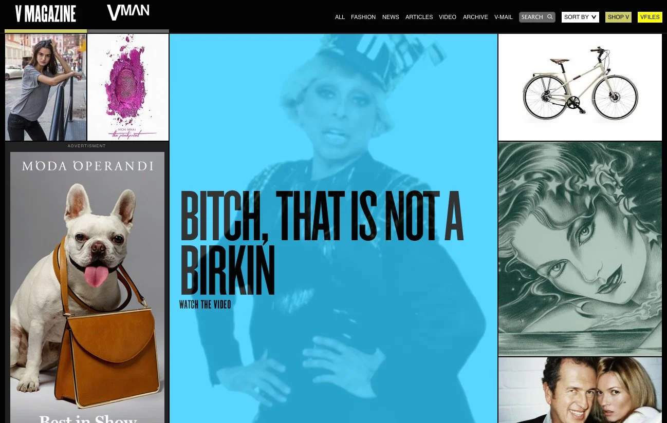 Bitch, That Is NOT A Birkin V Magazine 1.jpeg