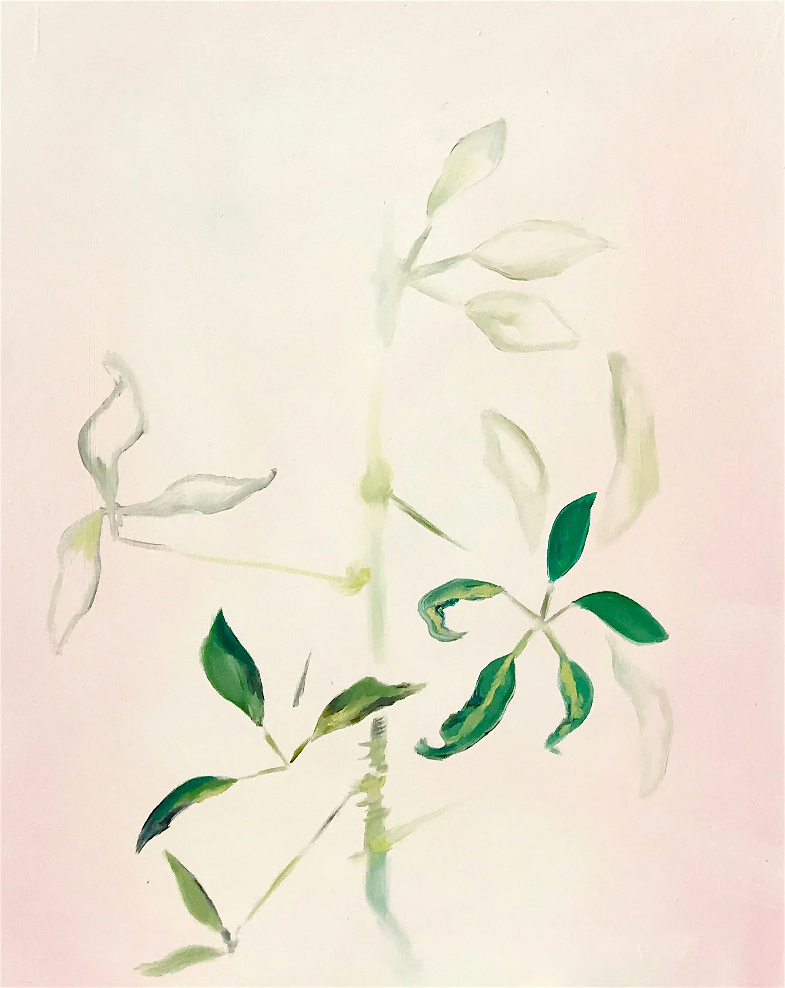 Pink and Green 2018 .JPG