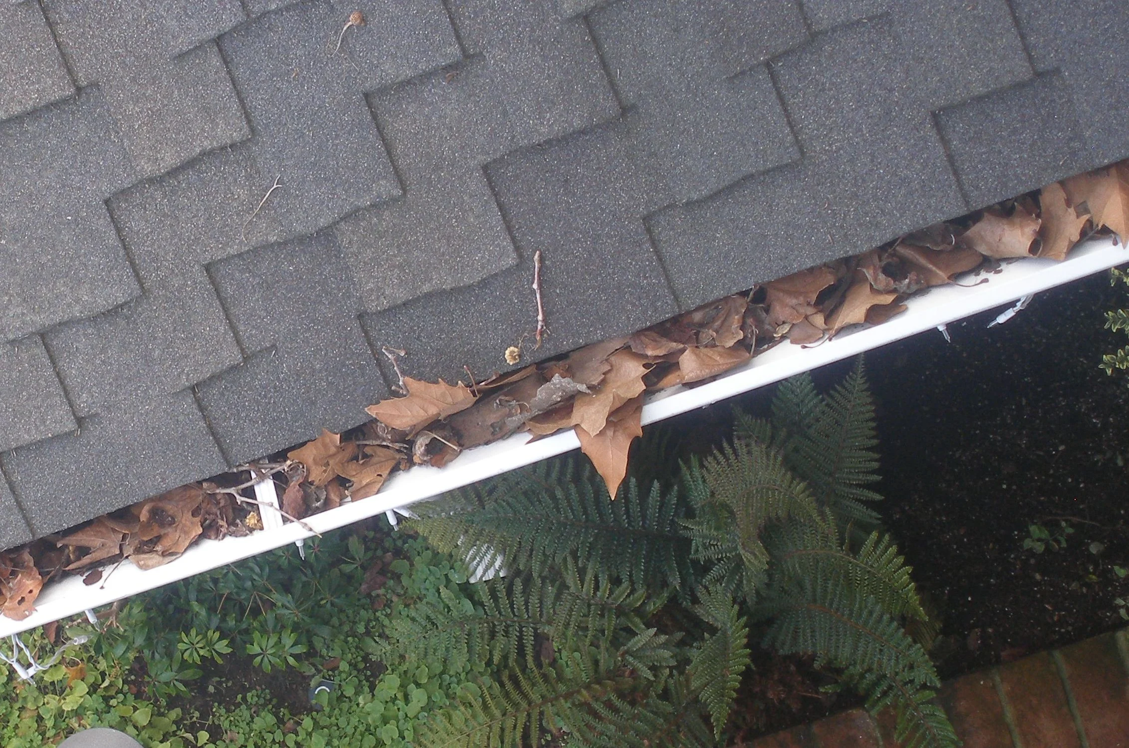 Copy of Sternberg 3.JPG