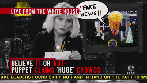 BLONDIE 'DOOM OR DESTINY' MUSIC VIDEO (Copy)