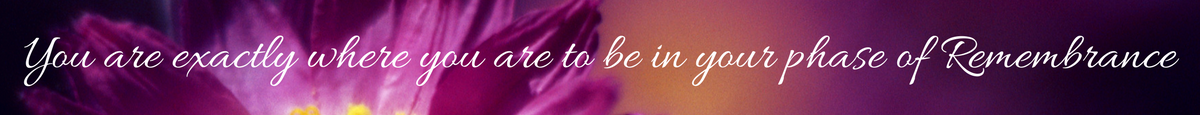Sebastian. soul.session.banner.png
