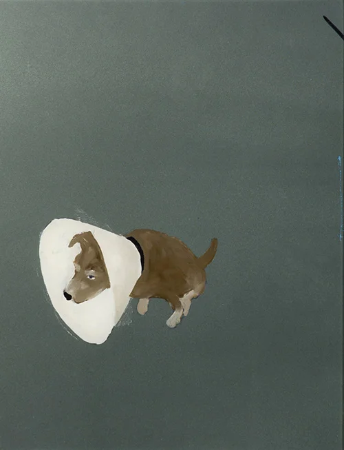 final dog.jpg