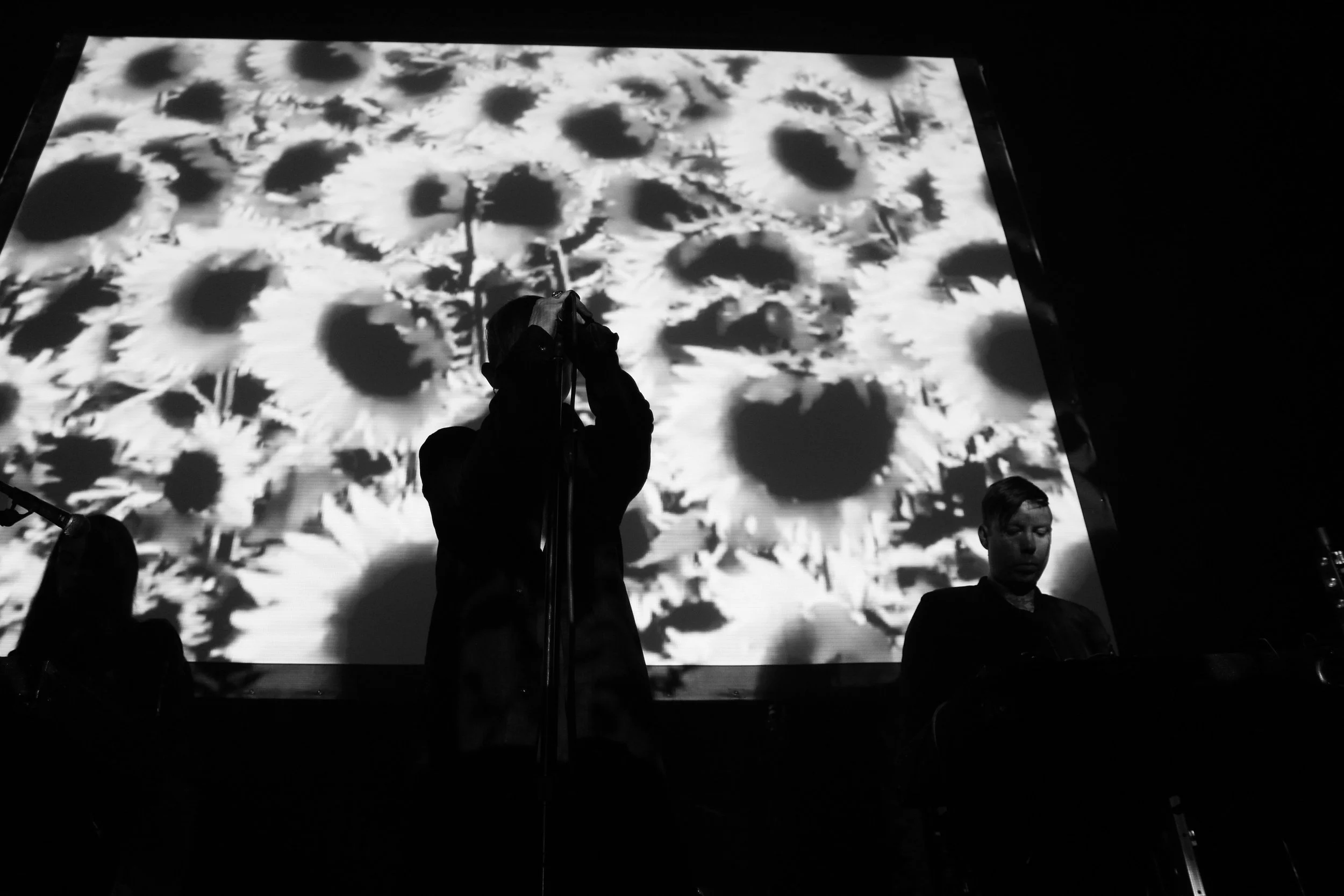 Cold Cave