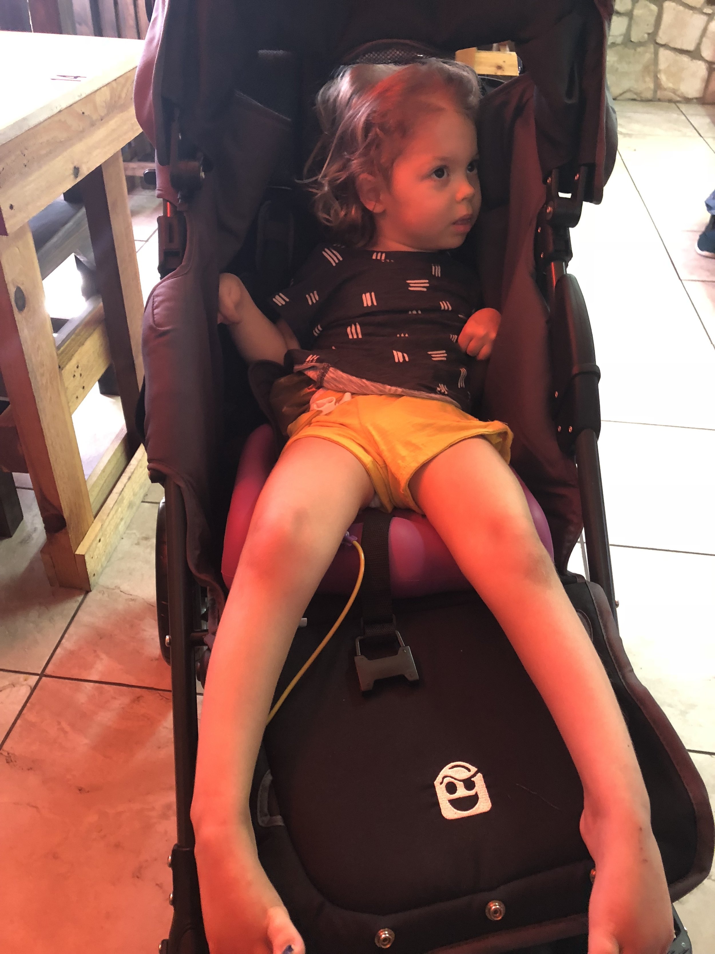 Berk in new stroller from Holton's Heroes