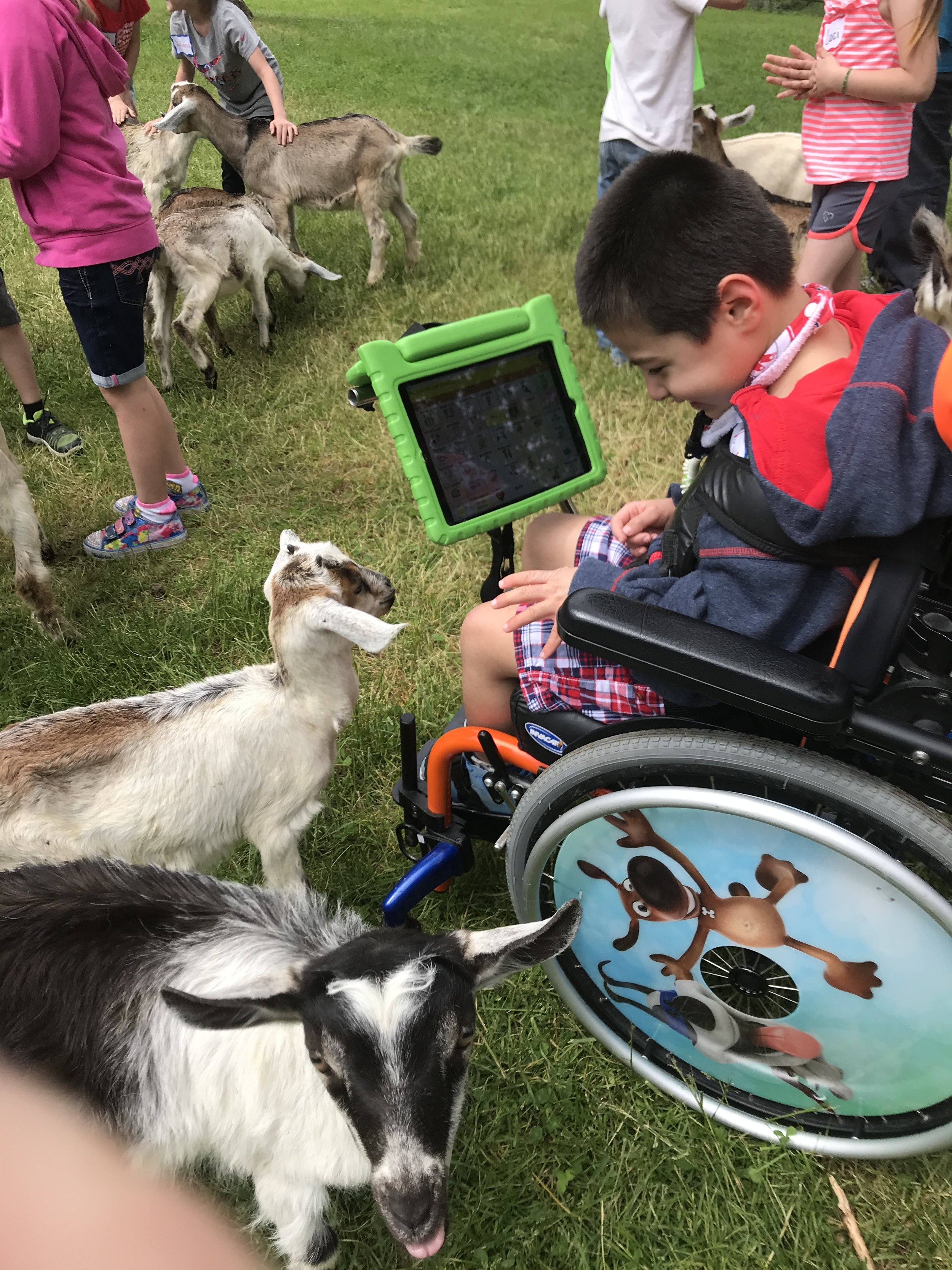  Noah getting silly with some goats. 