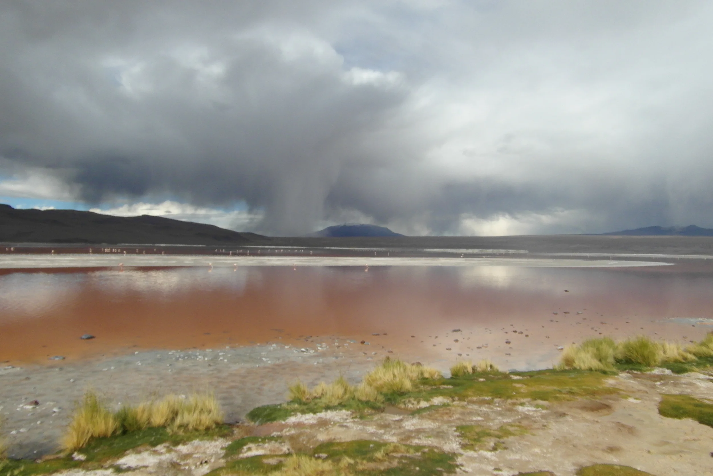 @ Bolivia, 2013