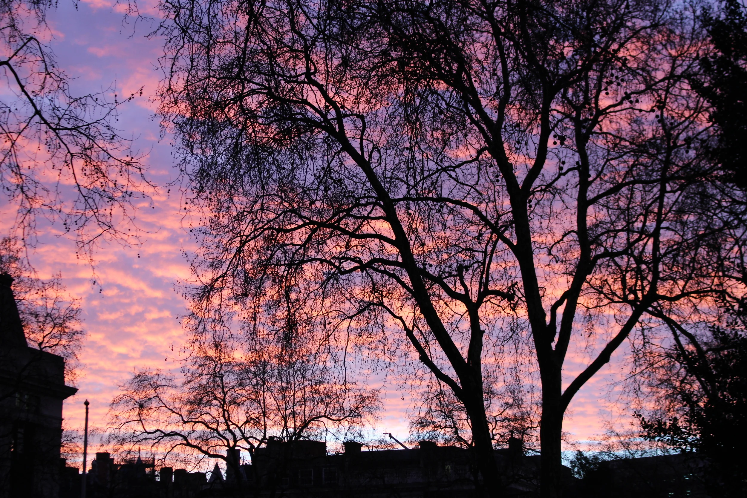 Belle matinée anglaise