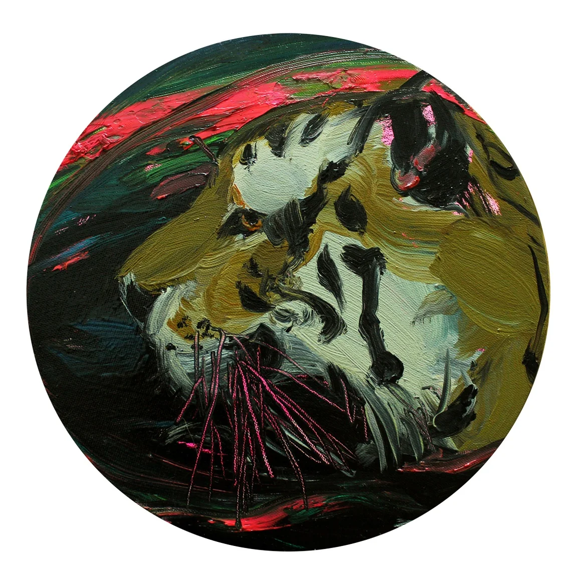 “Tiger” Oil on Canvas 30 x 30 cm 2013
