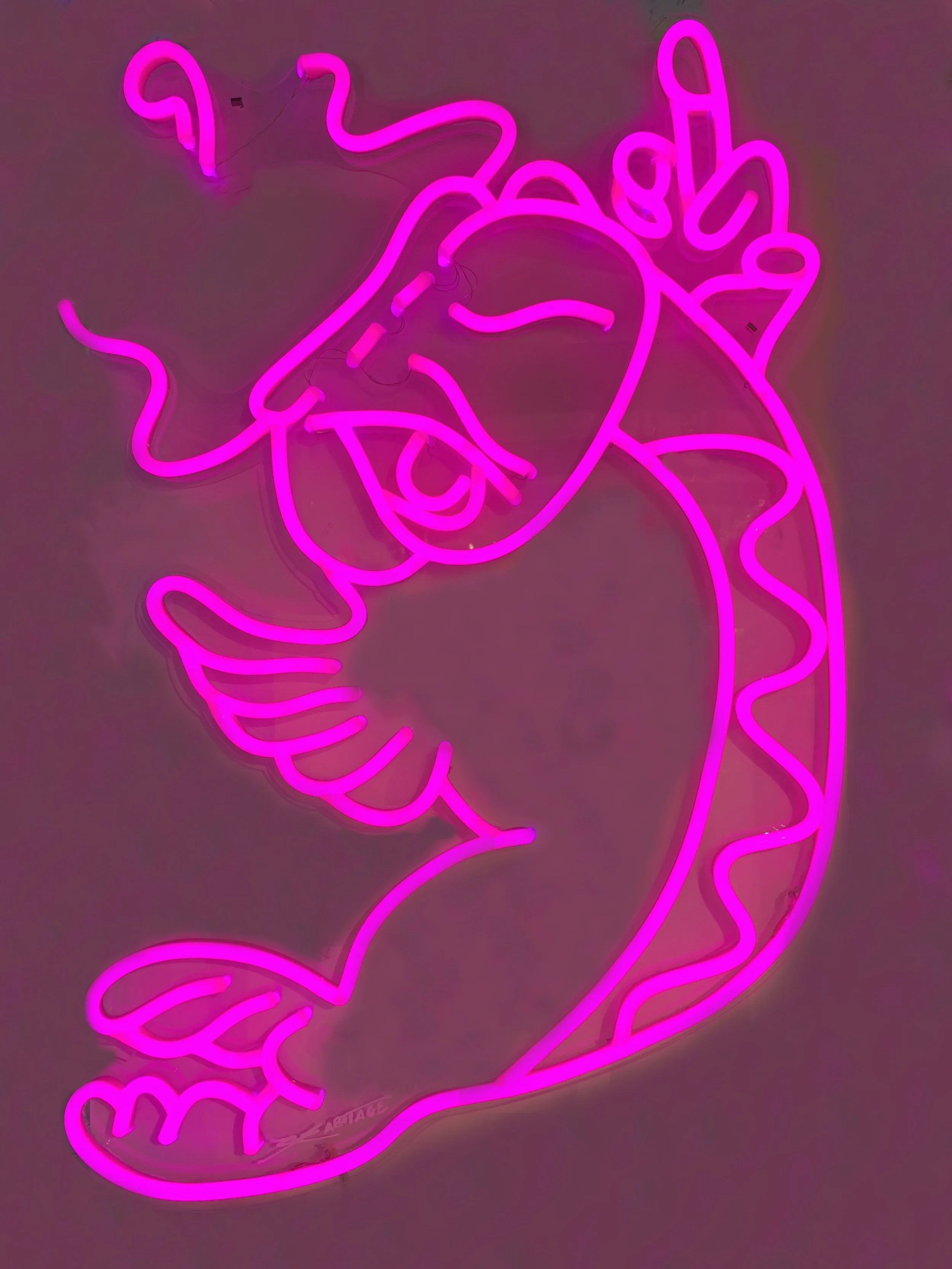 “Shiny Koi - Red” 10 Limited Edition LED Light 90 x 66 cm 2018