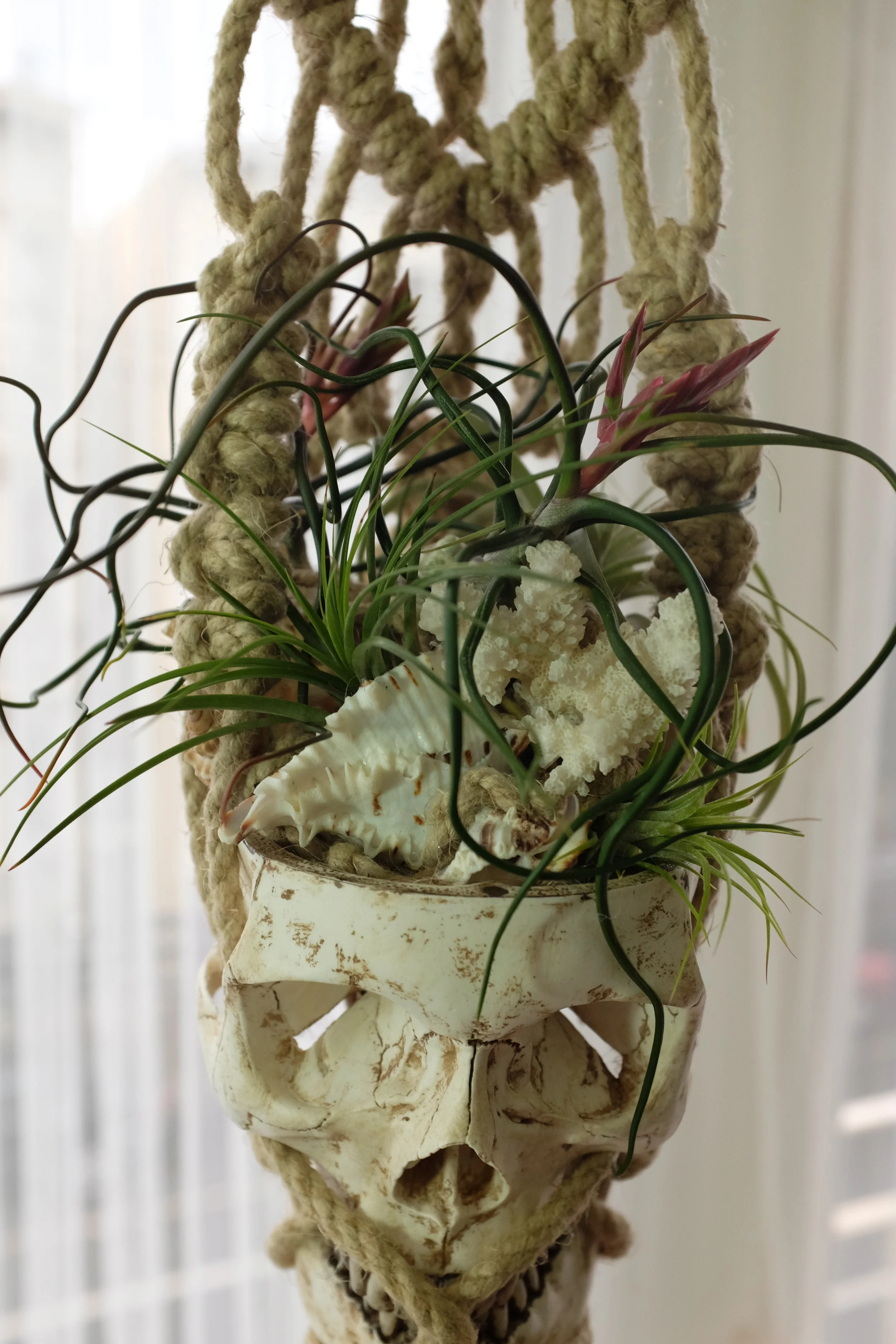 DSCF2817_2.jpg
