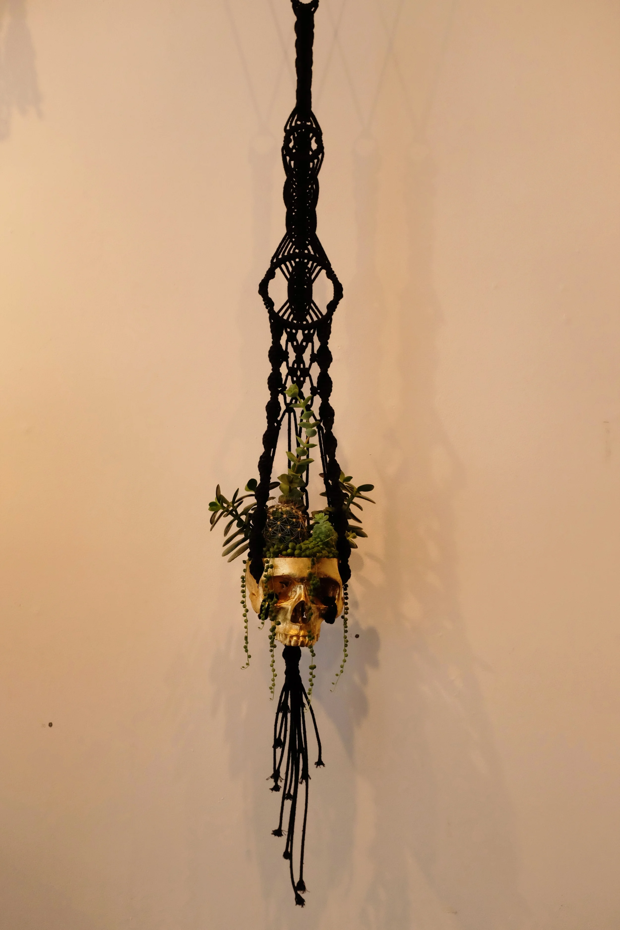 DSCF3597_2.jpg