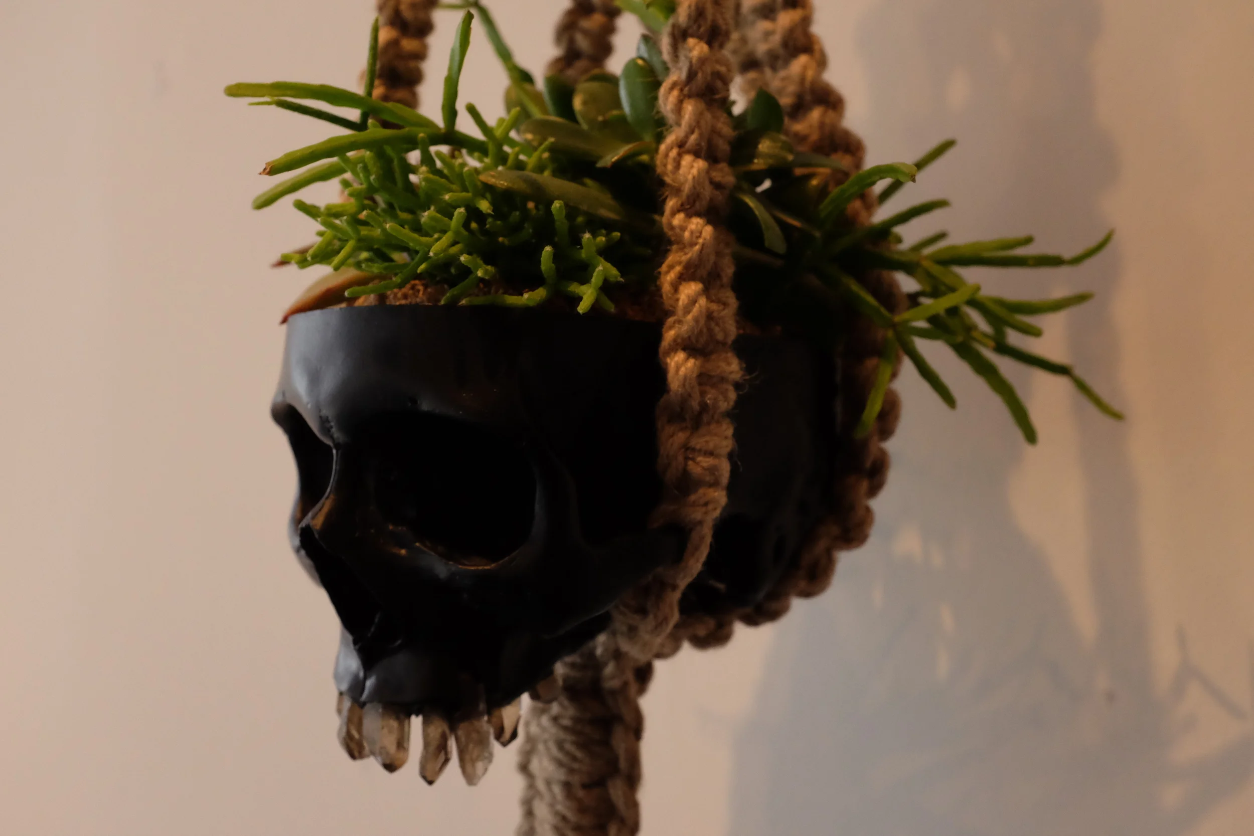 DSCF3578.JPG
