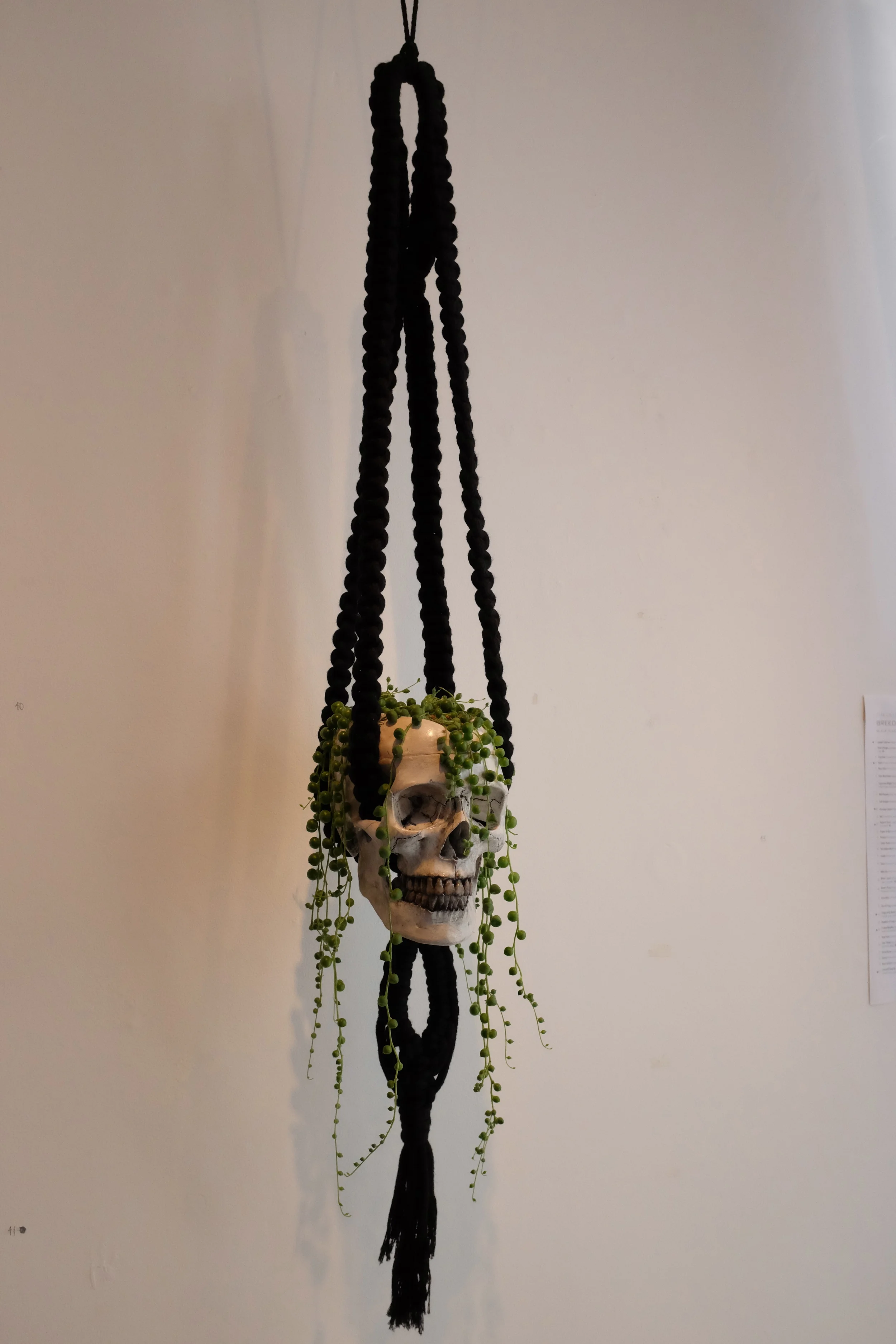 DSCF3611_2.jpg