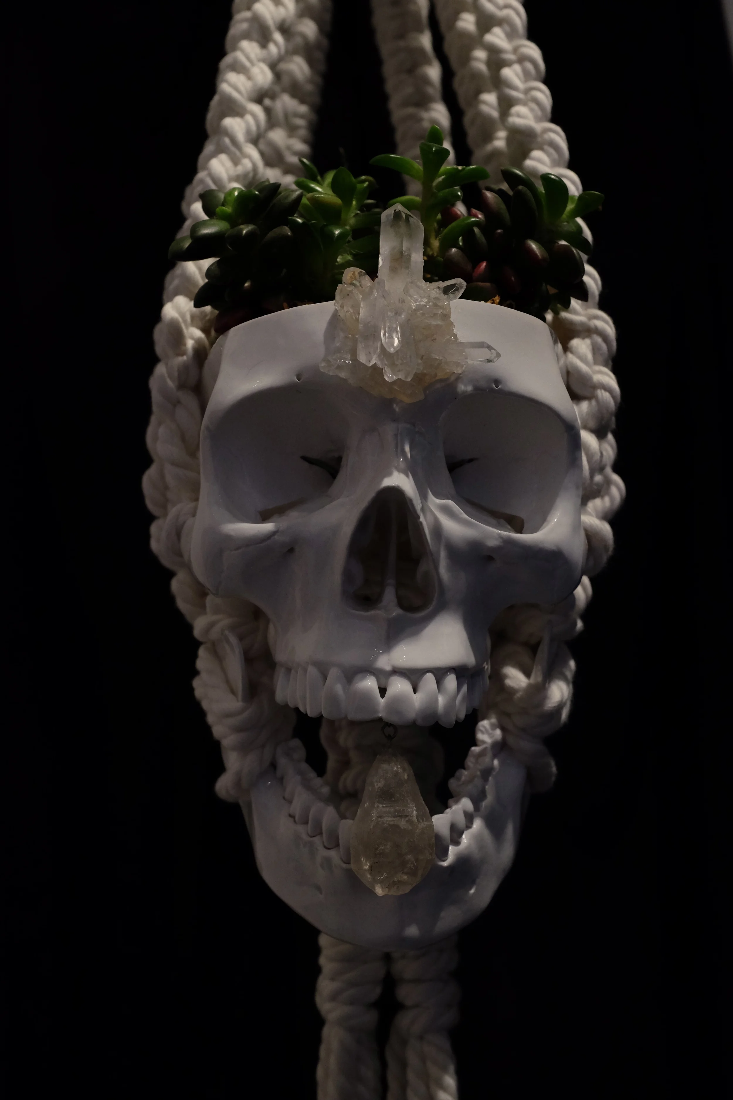 DSCF3384.jpg