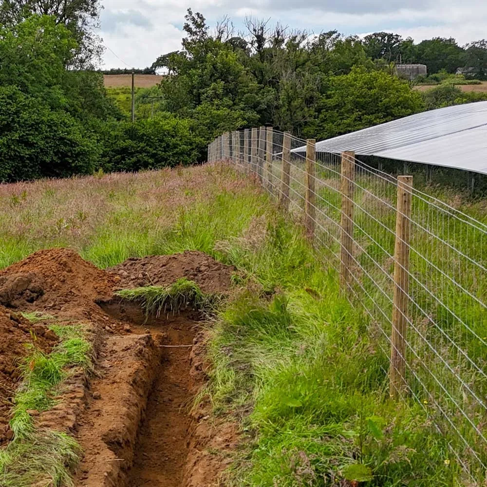 A fenced outdoor area with freshly dug earth trench in grassy field, with trees, a metal-roof building, and cloudy sky in the background.