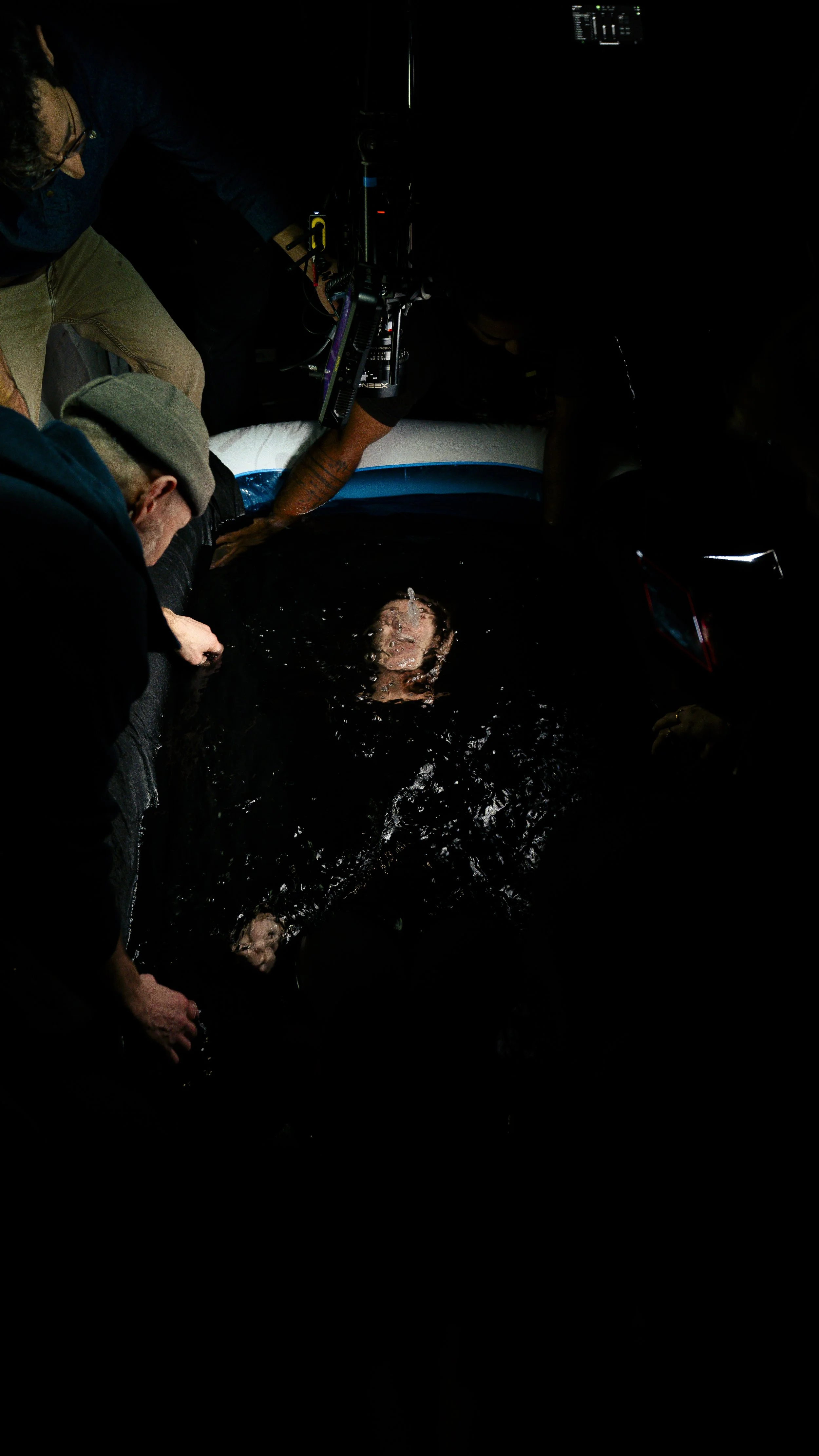 resiliencebts-5.jpg