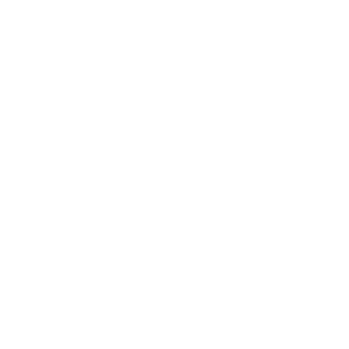 Maverick Skateparks