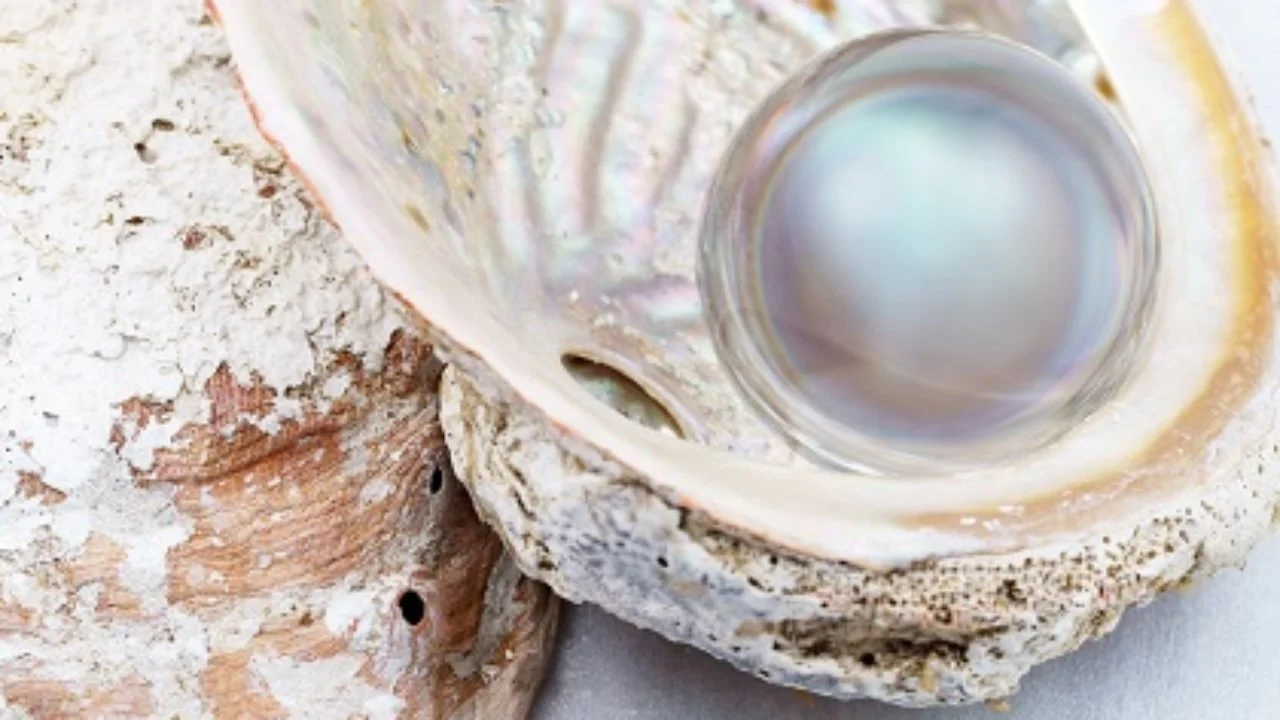 7 questions d'entrevue pour dénicher les tops professionnels de la vente.