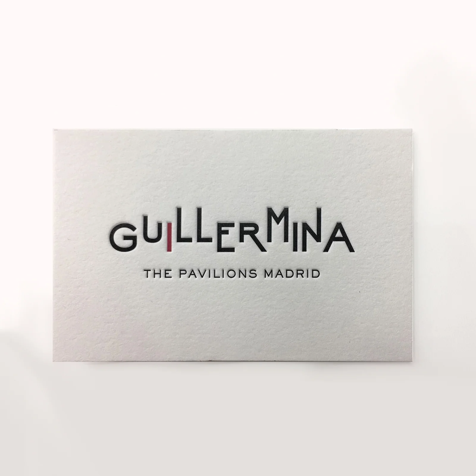 guillermina5 copia.jpg