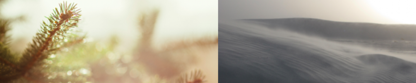A SENSE OF PLACE .png