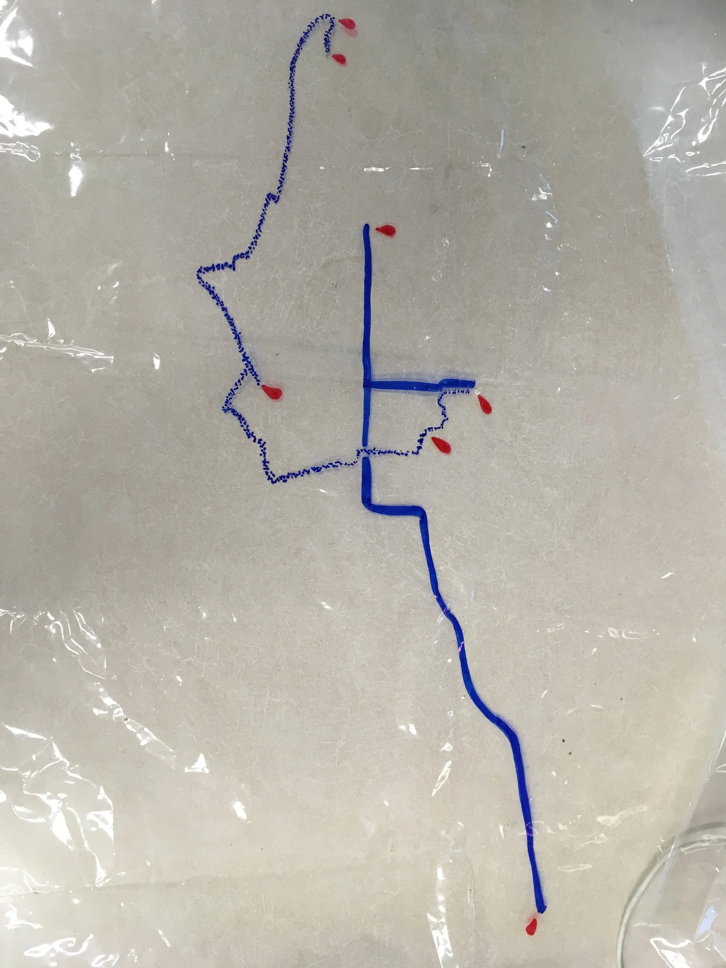 image1(5).jpeg