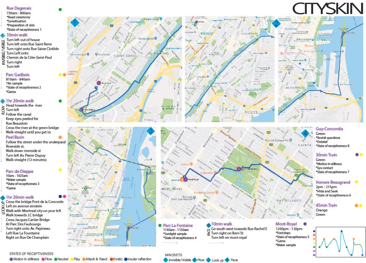 Cityskinmap.jpg