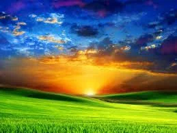 The End of Parental Alienation