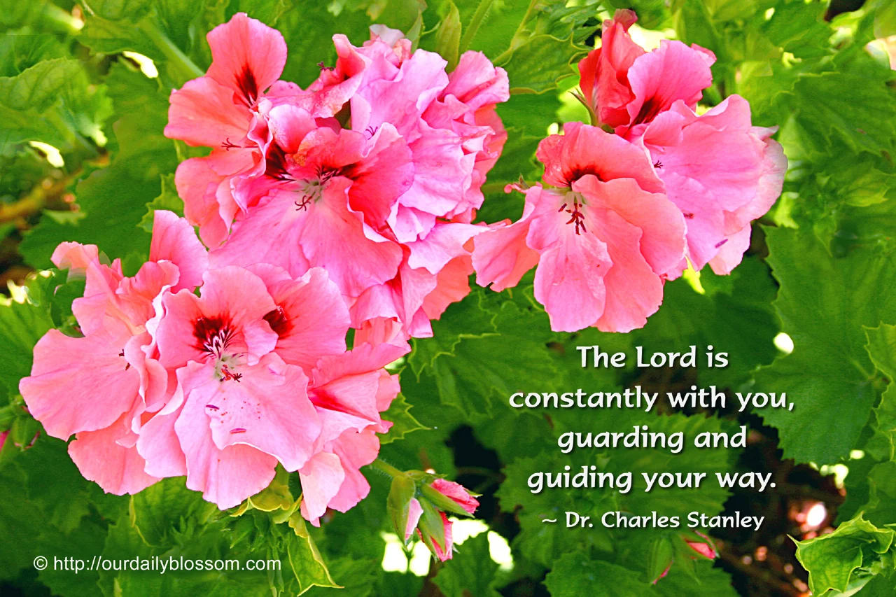 Mary likes Charles Stanley