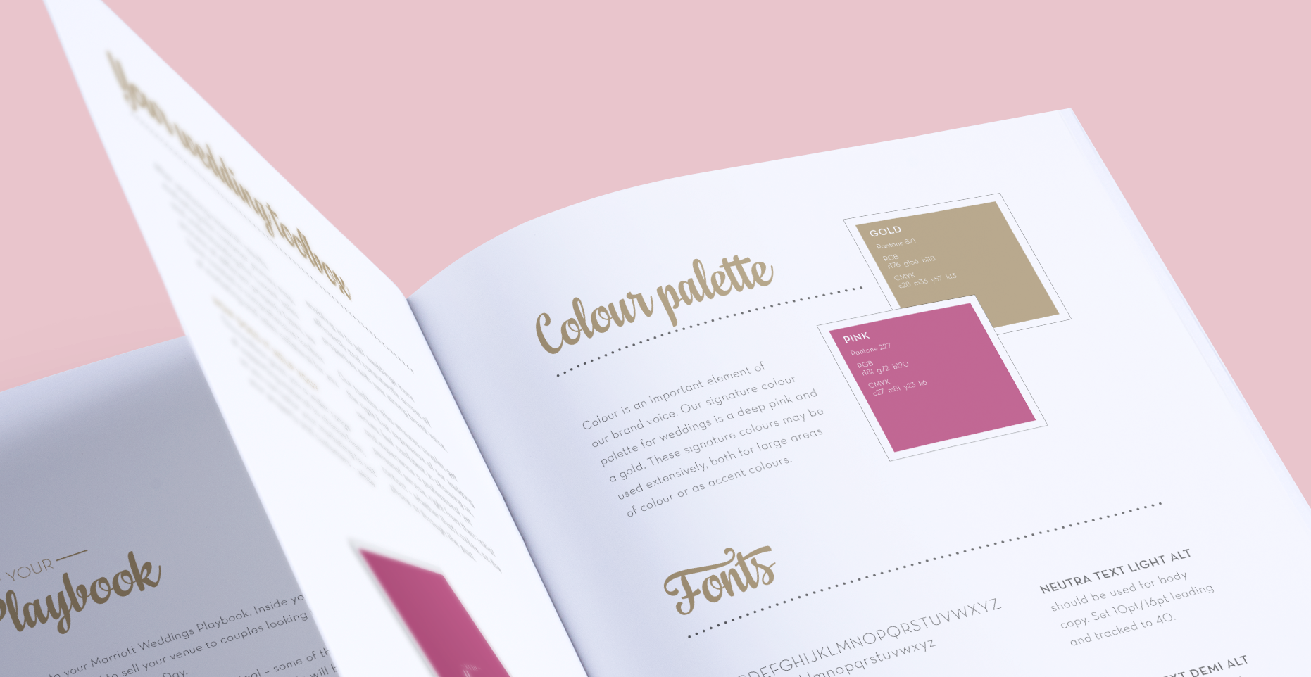 Cactus Design Wedding Catalog