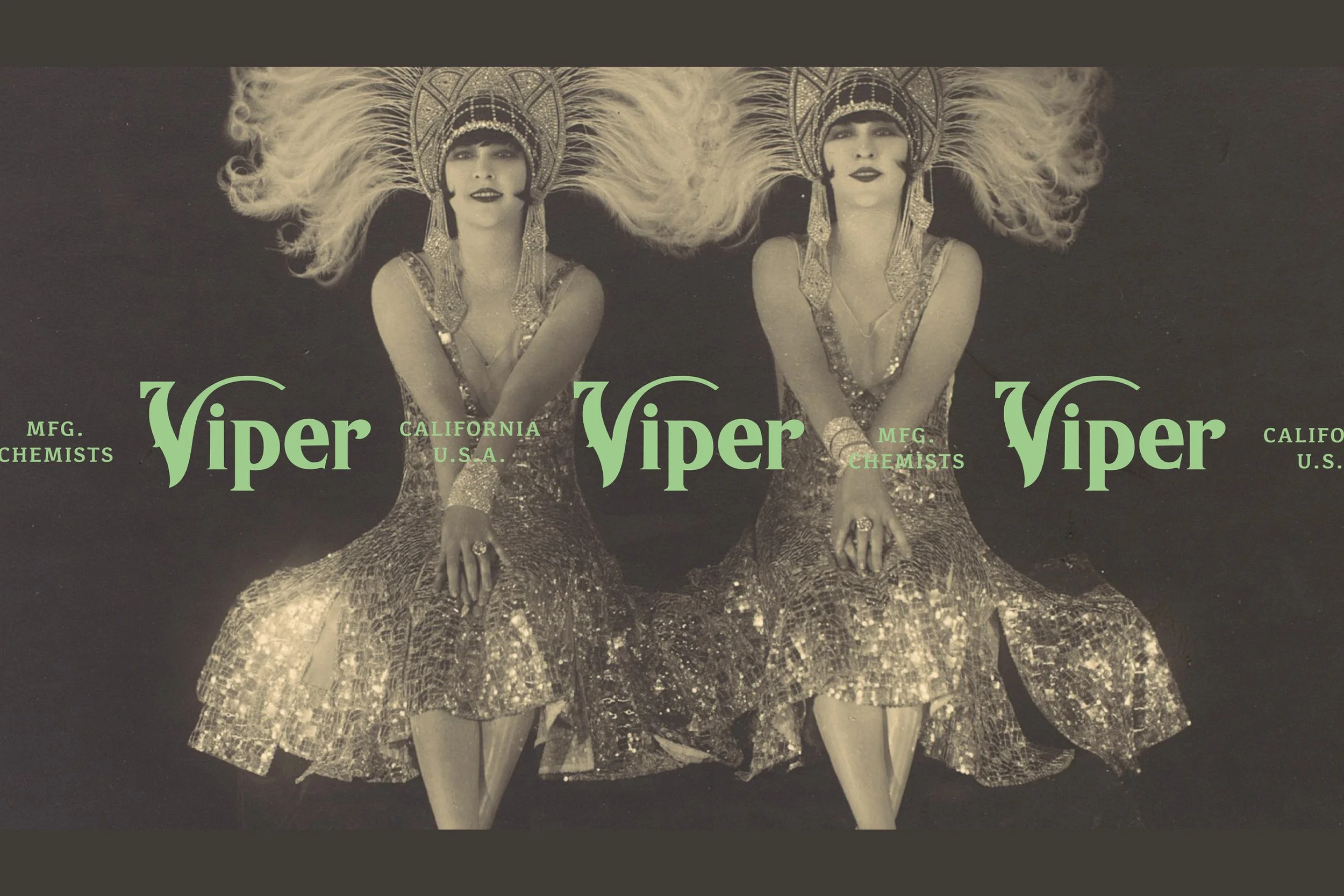 vpr_logo.jpg